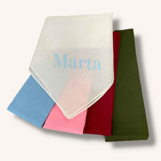 PACK BLUSÓN PERSONALIZADO PLUMETI + PAÑUELO